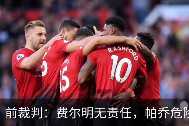 前裁判：费尔明无责任，帕乔危险动作
