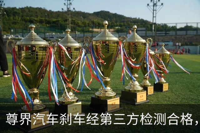 尊界汽车刹车经第三方检测合格，“懂车帝”要承担法律责任吗？