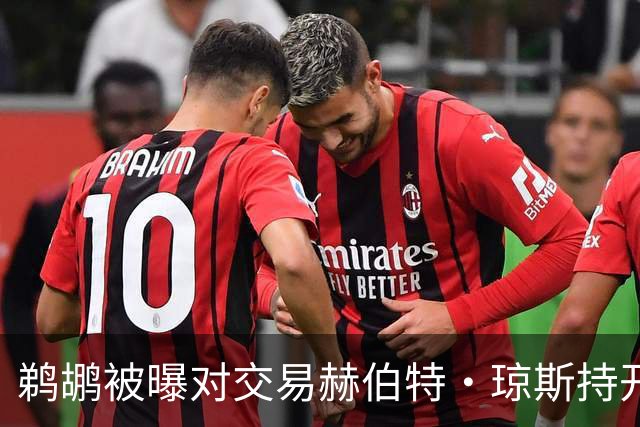 鹈鹕被曝对交易赫伯特·琼斯持开放态度，Stein辟谣：没这意愿
