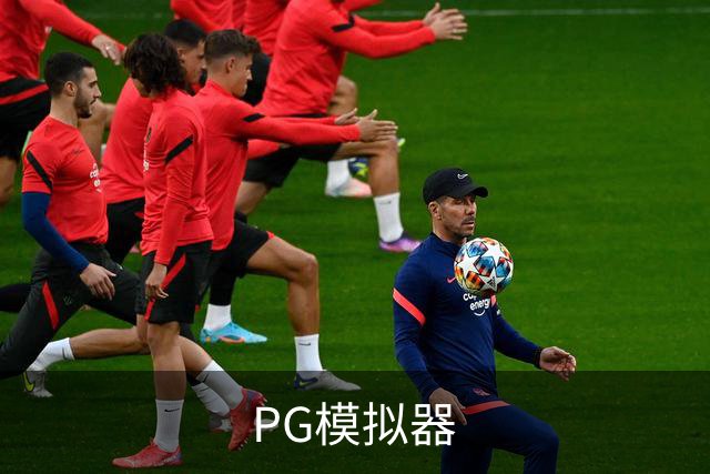 PG模拟器公司简介图片